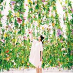[Single] 高橋英明 teamLab – ALL SINGLE COMPILATIONS (2017.03.15/MP3/RAR)