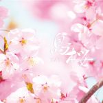 [Single] Yatz – 島桜 (2017.05.24/MP3/RAR)
