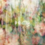 [Single] HAMIDASYSTEM – 抜けない根無し草 (2018.01.05/Hi-Res FLAC/RAR)