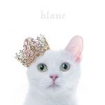 [Album] Aimer – BEST SELECTION “blanc” (2017.05.03/MP3+FLAC/RAR)