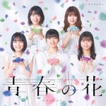 [Single] こぶしファクトリー (Kobushi Factory) – 青春の花 / スタートライン(2020.03.04/FLAC + MP3/RAR)