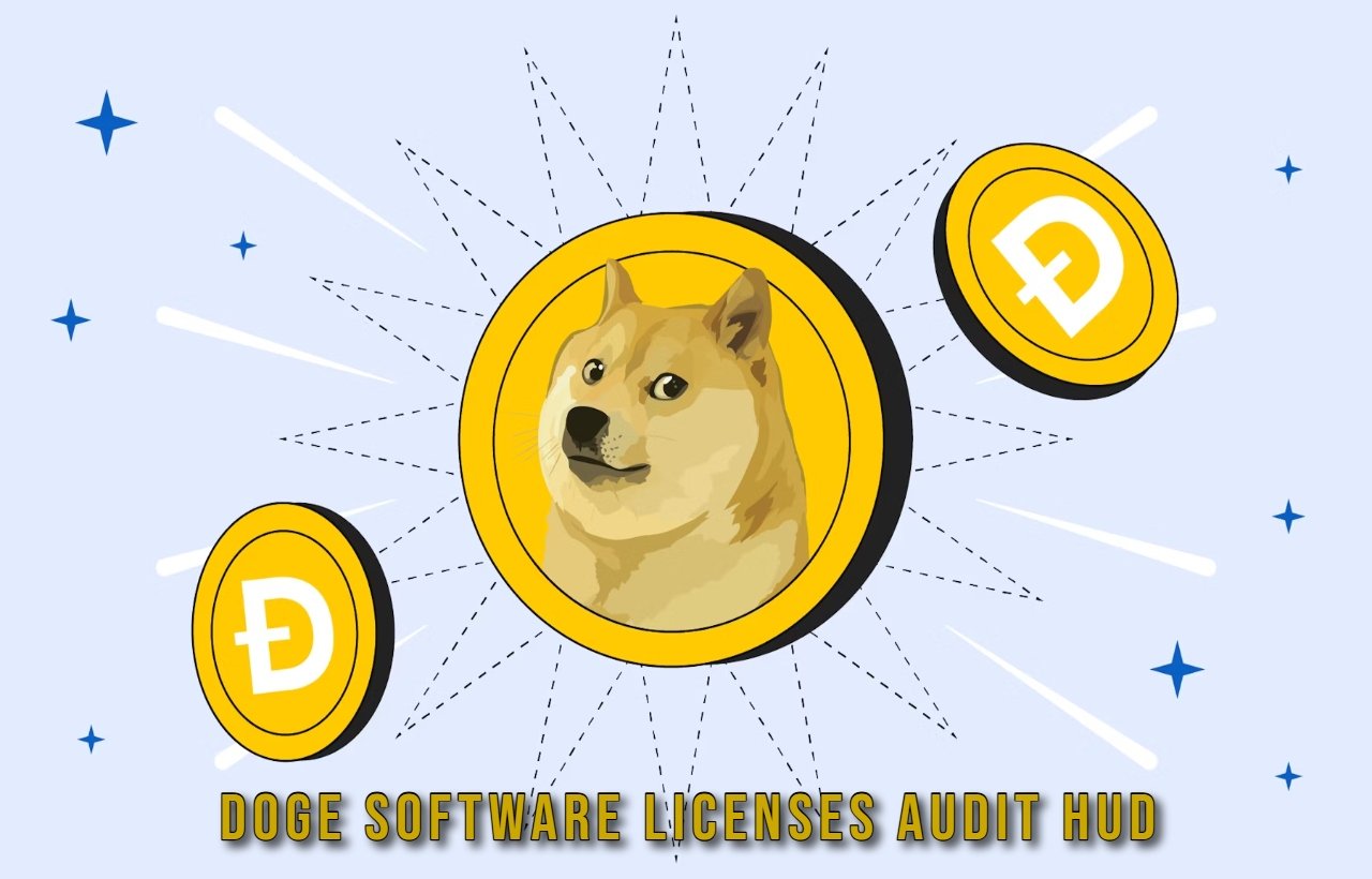 Doge Software Licenses Audit HUD