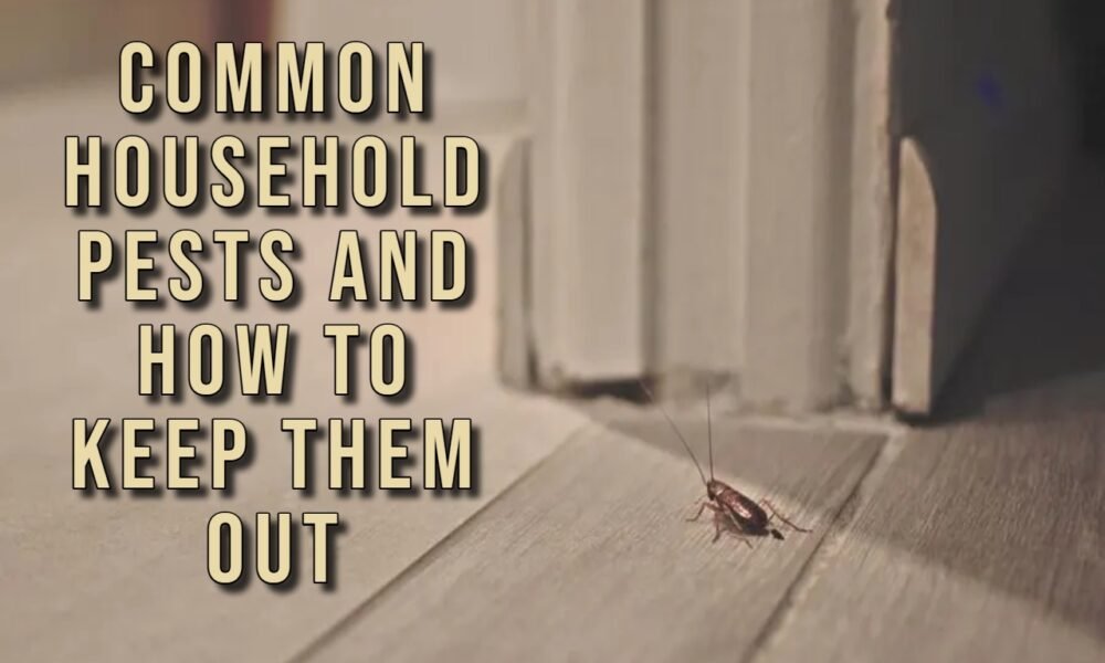 Common Household Pests and How to Keep Them Out