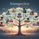 people connecting authentically through Simpciry platform