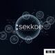 A conceptual depiction of seekde platform and its network features.