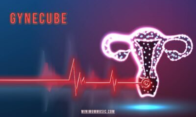 Gynecube