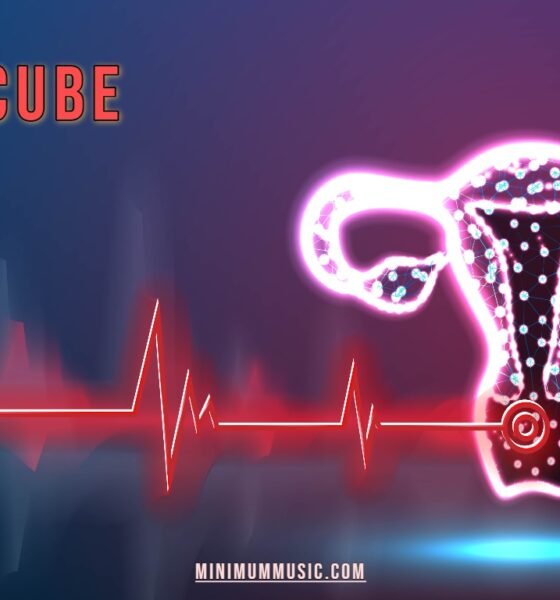 Gynecube