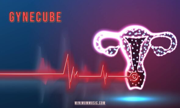 Gynecube